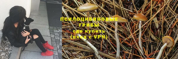 герыч Надым