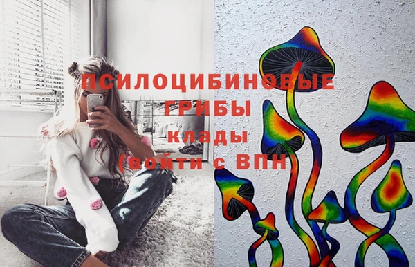гашик Навашино