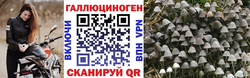 сколько стоит  Мостовской  omg ссылки  Галлюциногенные грибы GOLDEN TEACHER 